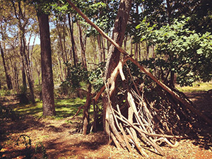 Tree hut made in Kalamunda