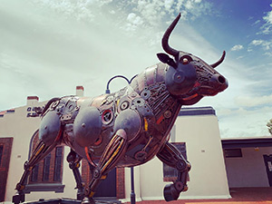 Bull artwork in Quairading, Western Australia