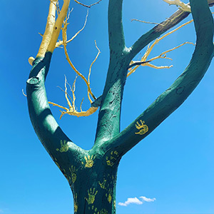 Painted tree in the Shire of Victoria Plains