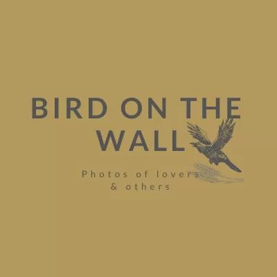 Bird On The Wall Photography Testimonial Logo