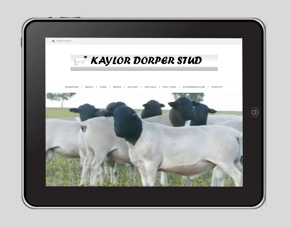 Kaylor Dorper Stud Website Preview