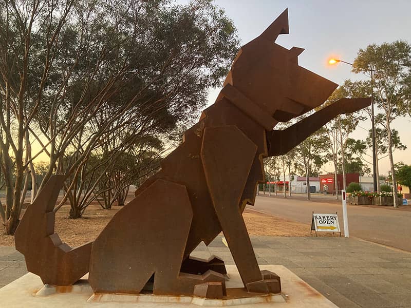 Rosey Dog in Dowerin, Western Australia
