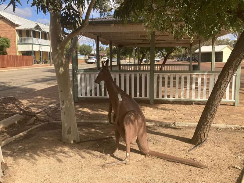 mukinbudin kangaroo art