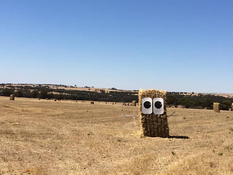 A hay stack with two eyes and sticks for hands. A farmer has created a figure using hey and adding eyes and arms for public art when driving past their farm.