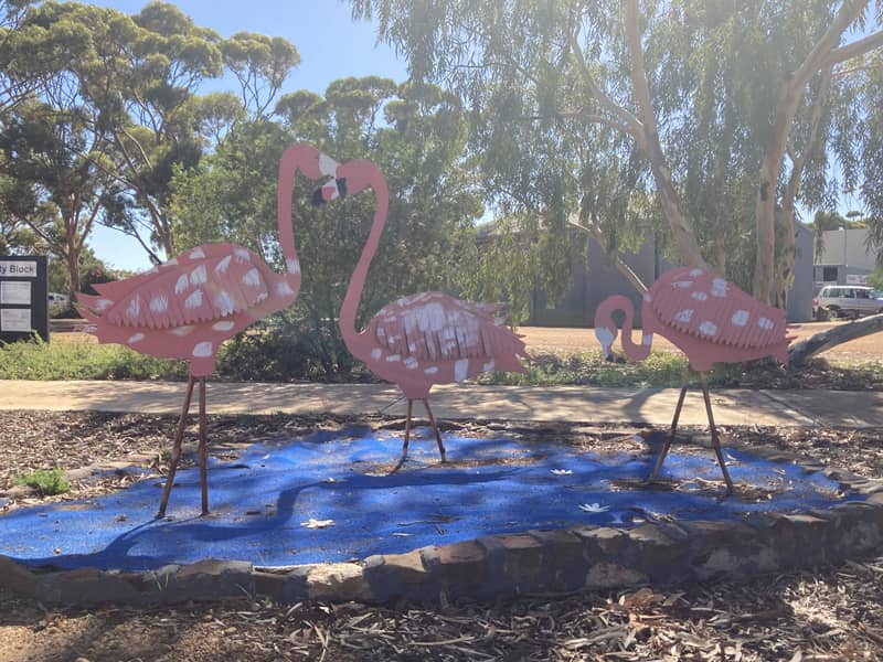 hyden pink flamingos